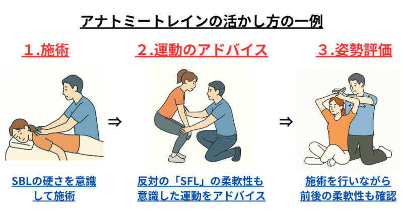 アナトミートレインの活用シーンを描いたイラスト。男性セラピストが女性クライアントに施術、前屈ストレッチ、姿勢チェックを行っている3つの場面を紹介。SBL・SFL・全身ラインを意識した指導を表現。