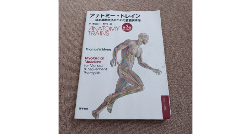 スーパーフィシャル・バックライン（SBL）に関する解説が掲載された筋膜の参考書の写真。セラピストが筋膜ラインを学ぶための基礎資料として紹介。
